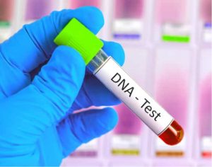 DNA Test During 