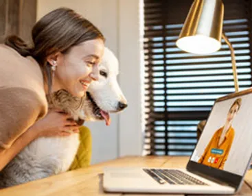 Dog Training