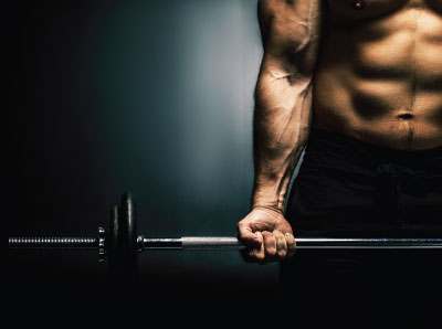 Muscle Gains