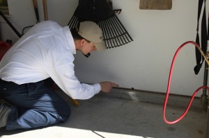 Pest Control Protects