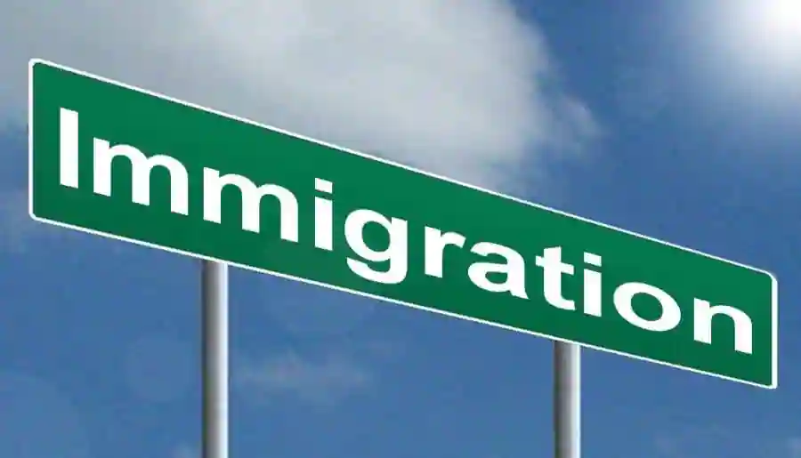 Immigration Lawyer
