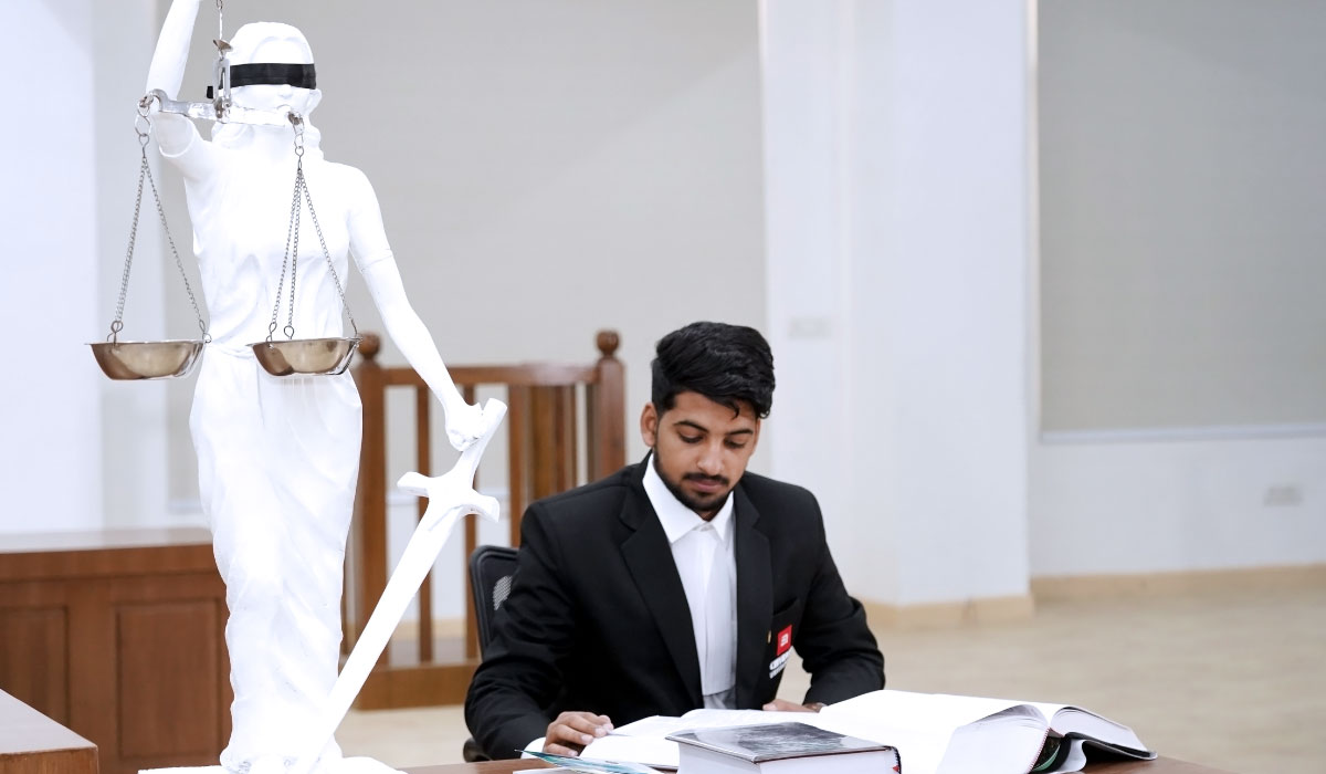 Professional Lawyer